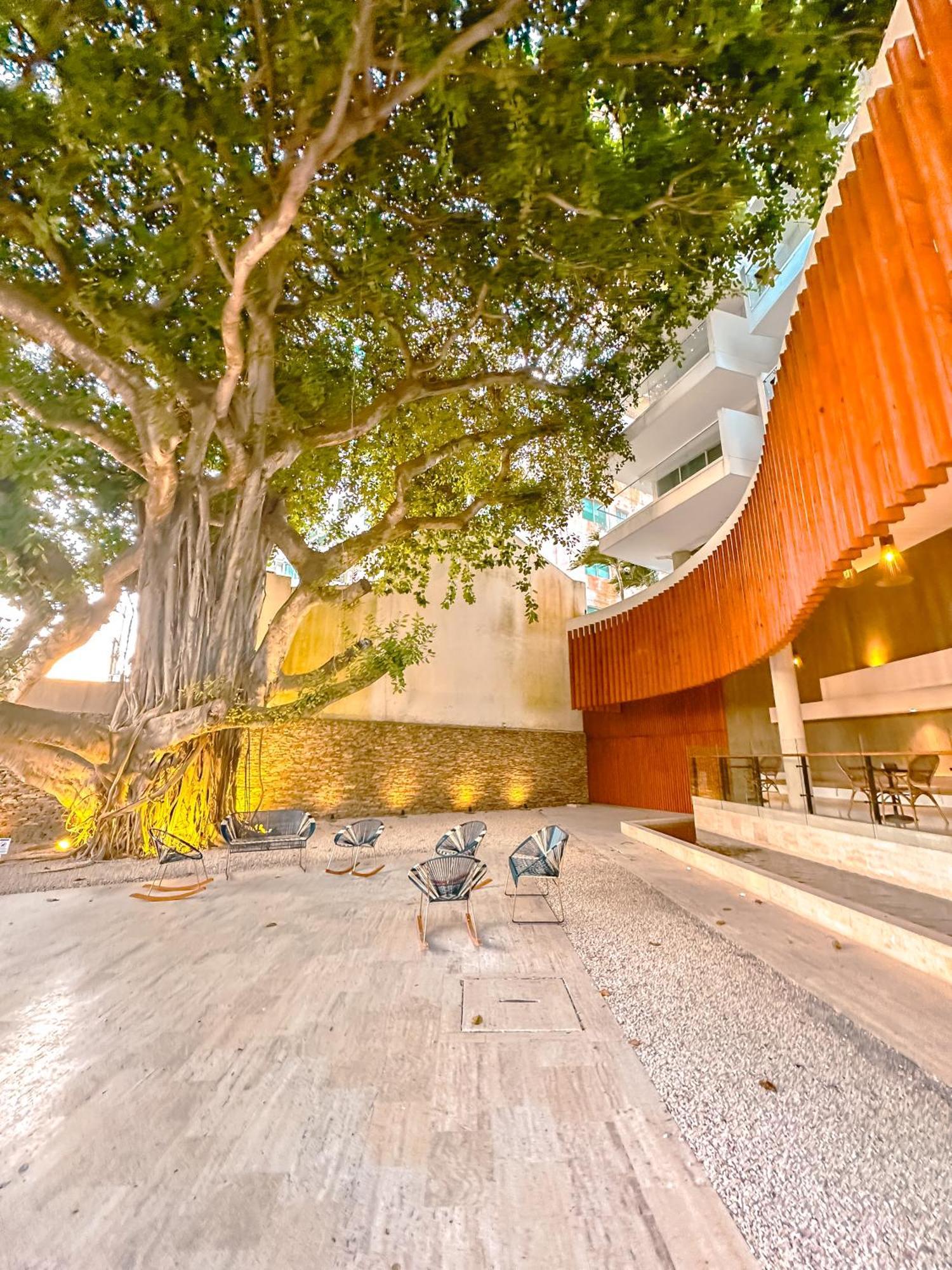 Confortable Y Exclusivo En Martinique Cielo Mar Apartamento